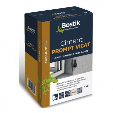 Ciment prompt Vicat BOSTIK 1kg