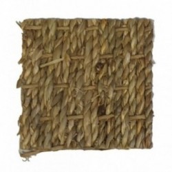 DELZONGLE Seagrass