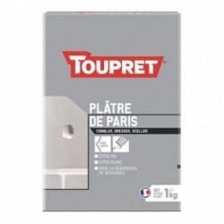 TOUPRET Les ESSENTIELS Plâtre de Paris