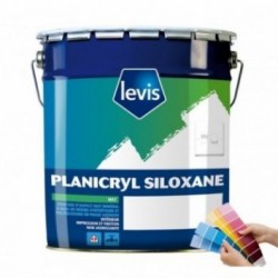 Peinture LEVIS Planicryl siloxane