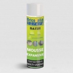BRICORALIA Mousse Batir