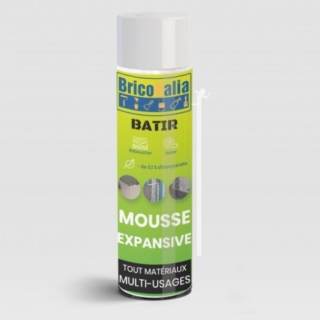 Mousse polyuréthane PARAFOAM BRICORALIA 500ml