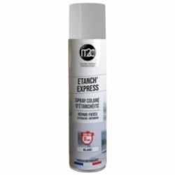 IT2C Etanch'express 300ml