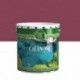 Peinture INNOVA Calanque NOV velours teinte 15L
