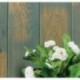Revêtement mural PANAGET Bois Mural 141 Chêne cabane vert huilé 10x141x2005mm