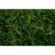 Gazon synthétique TURFGRASS Ibiza 32mm 2m