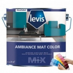 Peinture LEVIS Ambiance Mat Color