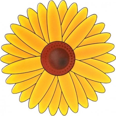 Sticker vitre attrape mouches LUANCE x3 tournesol