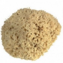 PAD Eponge naturelle
