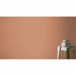 DELZONGLE Prima 4045