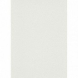 DELZONGLE Prima 4084