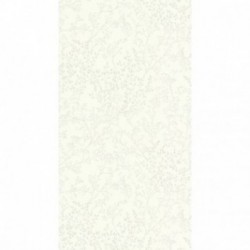DELZONGLE Prima 4086
