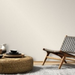 DELZONGLE Prima 4093
