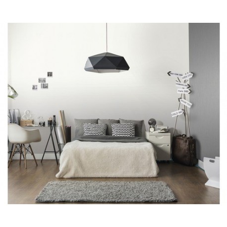 DELZONGLE Prima 4098