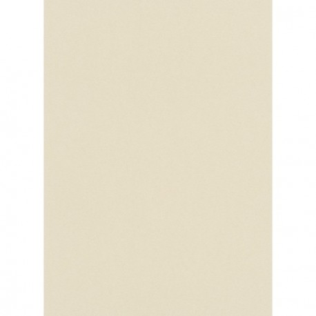 Papier peint stock DELZONGLE Collection PRIMA 2023 référence 4003