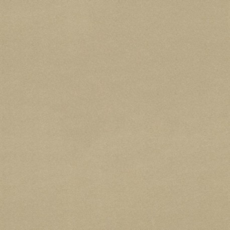 Papier peint stock DELZONGLE Collection PRIMA 2023 référence 4005