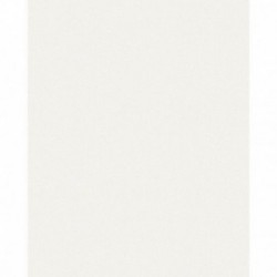 Papier peint stock DELZONGLE Collection PRIMA 2023 référence 4013