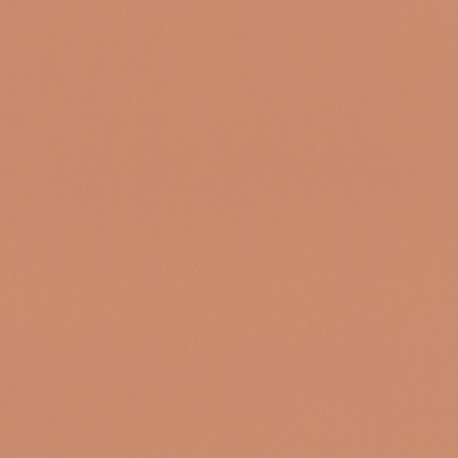 Papier peint stock DELZONGLE Collection PRIMA 2023 référence 4045