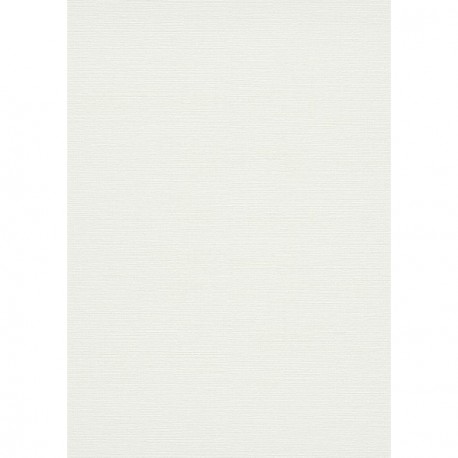 Papier peint stock DELZONGLE Collection PRIMA 2023 référence 4048
