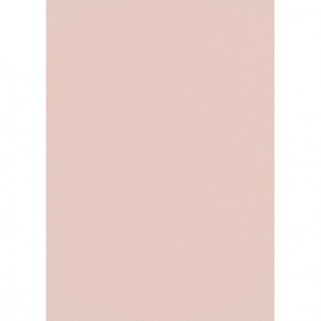 Papier peint stock DELZONGLE Collection PRIMA 2023 référence 4050
