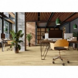 DECORALIA LVT Dry-Back 55