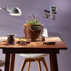 ERFURT Ingrain à Peindre