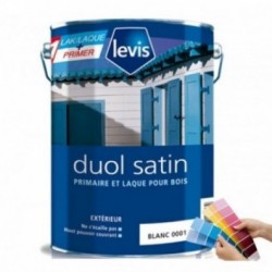 Peinture LEVIS Duol satin mix
