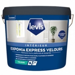 Peinture LEVIS Exponia Express Velours