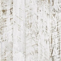 DELZONGLE SOPHIA 2027