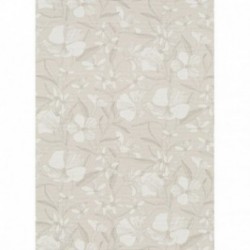 DELZONGLE SOPHIA 2027