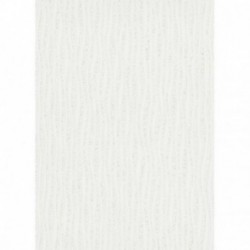 DELZONGLE SOPHIA 2027