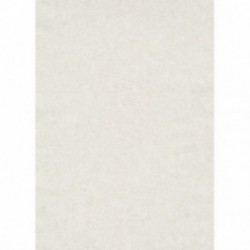 DELZONGLE SOPHIA 2027