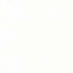 DELZONGLE SOPHIA 2027