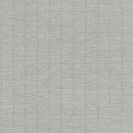 Papier peint stock DELZONGLE Collection SOPHIA 2027 référence 1010