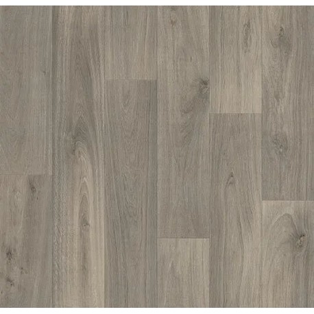 DELZONGLE Acoustic 2S3