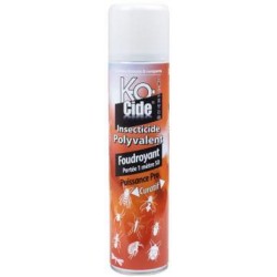 K-OCIDE FOUDROYANT polyvalent