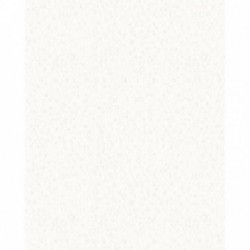 DELZONGLE SOPHIA 20271014