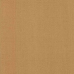 DELZONGLE SOPHIA 20271037