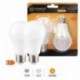 Pack 2 ampoules LED Standard 12W E27 3000K