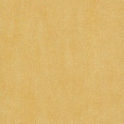 DELZONGLE Sophia 5011