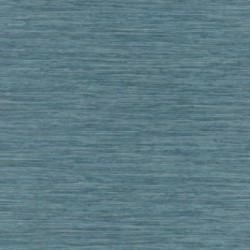 DELZONGLE Prima 6005