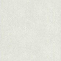 DELZONGLE Prima 6009