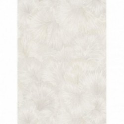 DELZONGLE Prima 6017