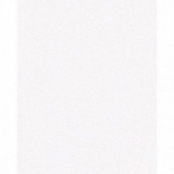 DELZONGLE Prima 6020