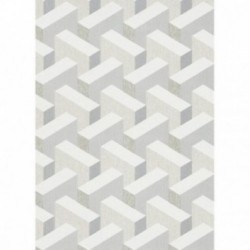 DELZONGLE Prima 6036