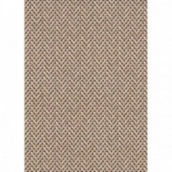 DELZONGLE Prima 6041