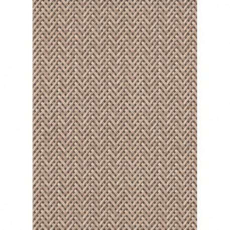 DELZONGLE Prima 6041