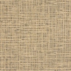 DELZONGLE Prima 6042