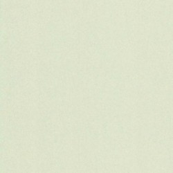 DELZONGLE Prima 6057