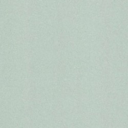 DELZONGLE Prima 6063